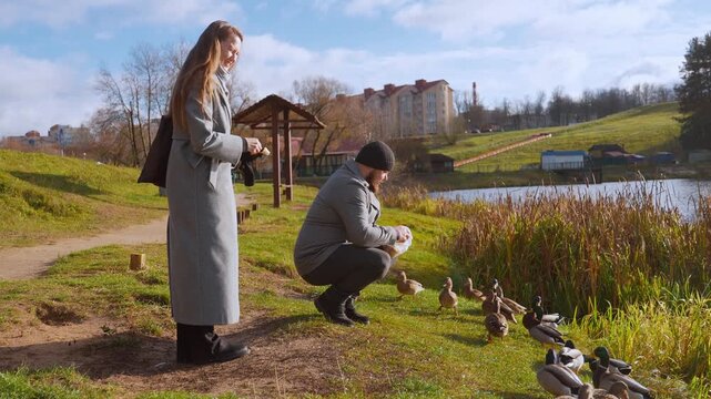 Affectionate young couple feeding a flock of wild ducks by the lake on a beautiful autumn day. Man and woman interacting with birds in a city park, showing care for wildlife