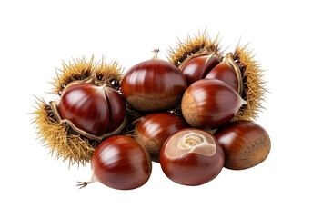 Chestnut isolated on transparent background