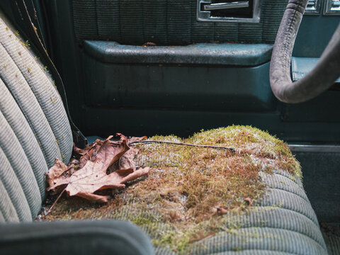 abandoned car