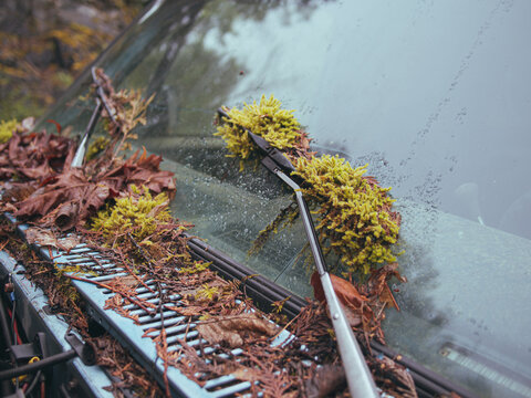 abandoned car