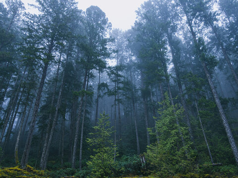 powellriver