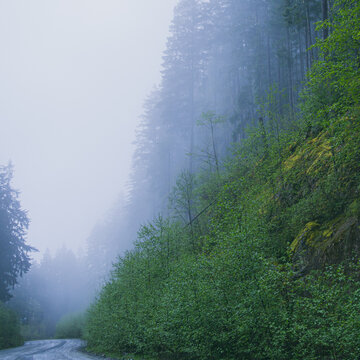 powellriver