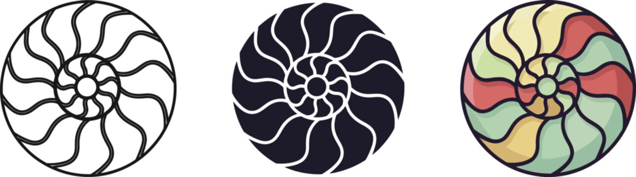 Elegant nautilus shell geometric spiral pattern presented in outline, silhouette, and colorful styles isolated on white background, Vector