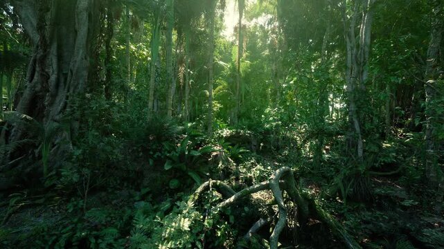 dappled green jungle undergrowth illuminated by slanted rays, vine tangled trunks and cool humid air creating cinematic mood for exploration