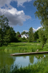 Fototapeta premium Søllerød Lake - Søllerød Sø in Rudersdal Municipality Denmark