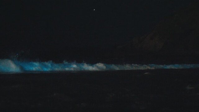 Bioluminescence of the ocean wave. Night view of the sea surface and coastline with breaking wave shining strong blue light caused by bioluminescence. High level of noise
