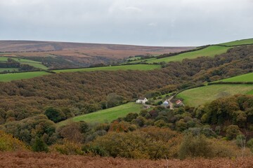 Fototapeta premium Landscape photo of the autumn colours at the top of Porlock Hill in Exmoor National Park