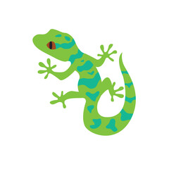 Obraz premium Lizard animal cute vector illustration emoji symbol sign icon vector illustration isolated flat gecko reptile