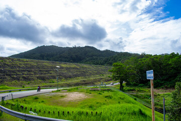 Tropical forest in  Phuket, Thailand. Palm trees and footpath, rainforest ecosystem Phang Nga Bay in Phang Nga Province, southern Asia.