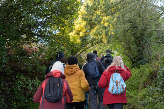 Groupe de randonneurs seniors en Bretagne