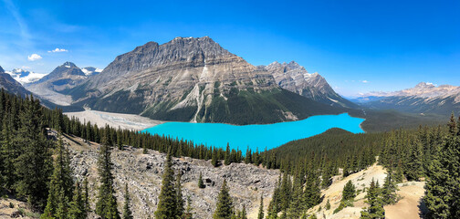Obraz premium Wonderful aerial view of Peyto Lake in summer season under blue sky