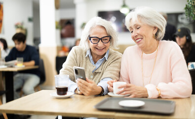 Fototapeta premium Senior women in cafe has nice conversation and discusses news of day