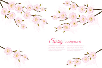 Spring nature background with sakura branch. Vector