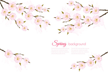Spring nature background with sakura branch. Vector