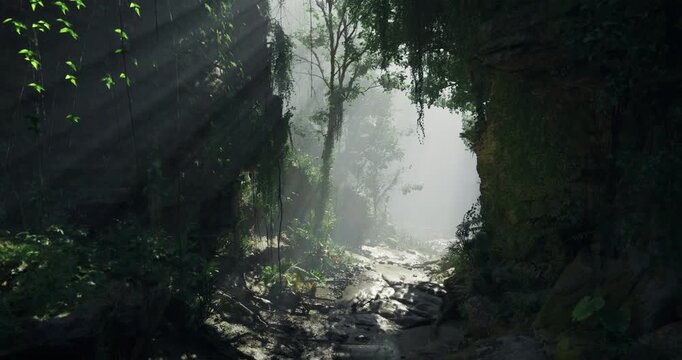 Sunlight penetrates the thick canopy of leaves in a serene forest valley. Lush green vegetation frames a winding path leading deeper into the wilderness. The atmosphere is peaceful and inviting.