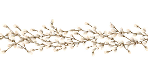 Willow branches vertical seamless border. Botanical wave composition of symbol of spring religious bright holiday Easter. Hand drawn watercolor Isolated illustration. Soft fluffy bud on twig © Yulia Kapura
