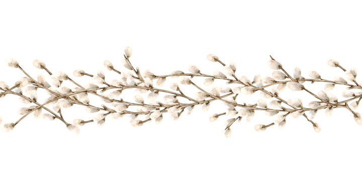 Willow branches vertical seamless border. Botanical wave composition of symbol of spring religious bright holiday Easter. Hand drawn watercolor Isolated illustration. Soft fluffy bud on twig