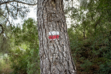 GR (sendero de Gran recorrido) long-distance trail markings and signage in Sierra Calderona, Valencia, Spain. © Sernat
