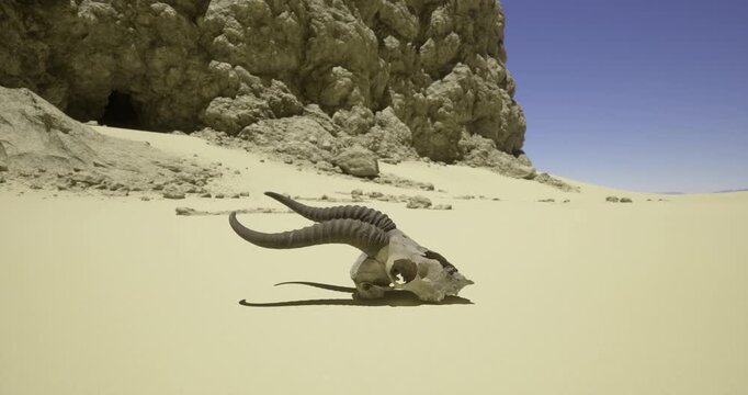 A goat skull with long curved horns is situated on golden sand, surrounded by rocky formations. The sun shines brightly in a clear blue sky, highlighting the arid landscape.