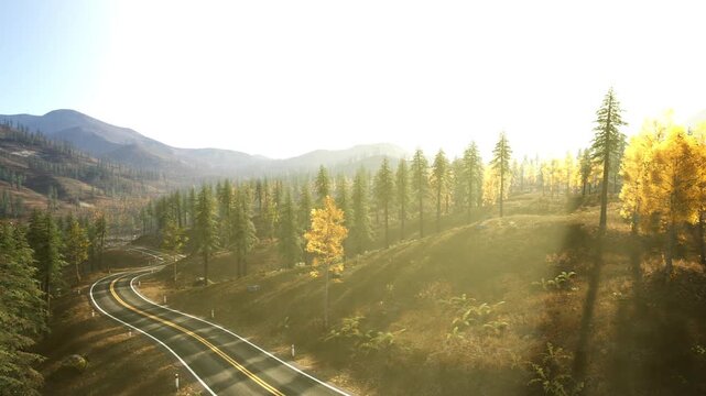 A beautiful winding road meanders through a colorful autumn forest, with golden and green leaves illuminated by the warm afternoon sun against a backdrop of majestic mountains.
