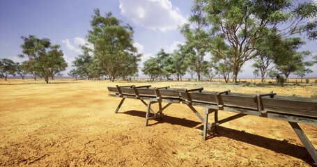 sunlit dry savanna with wooden platforms scattered eucalyptus trees cast thin shadows over ochre soil rows of raised wooden racks and benches used for stock © icetray