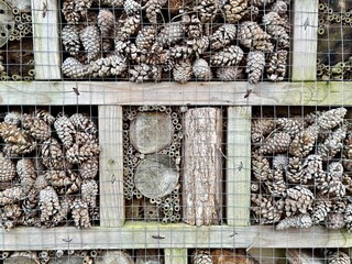Wooden insect hotel filled with pine cones, logs and bamboo, providing habitat for bees and beneficial insects, photographed as an ecological garden structure.