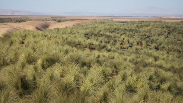 Aerial view dense shrubland and hills, remote conservation landscape with tussock grasses, textured terrain showing subtle erosion, distant plateau under pale