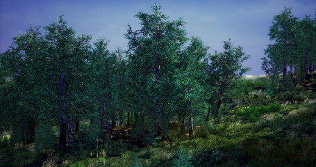 Fototapeta premium A scenic view showcasing a dense forest filled with tall trees and rich greenery. Sunlight filters through the leaves, creating a peaceful and serene atmosphere in nature.