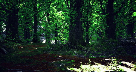 A tranquil forest area reveals vibrant green foliage under bright sunlight. Tall trees provide shade while soft light creates a peaceful atmosphere on the forest floor.