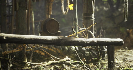 Foggy woodland campsite with rustic bench, weathered barrel and frayed rope draped over log, moss covered ground and tangled undergrowth, dim golden light