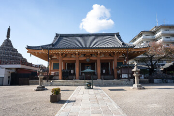 Fototapeta premium 壬生寺 本堂 京都市中京区