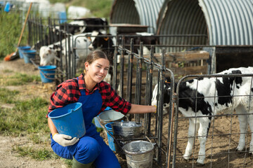 European girl holds bucket filled with water and waters calves in street pen. Employee in overalls...