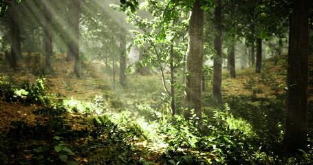 sunlit forest trail with dynamic shadows and scattered undergrowth, sense of movement and adventure suggested by angled light, ideal for outdoor activity, © icetray