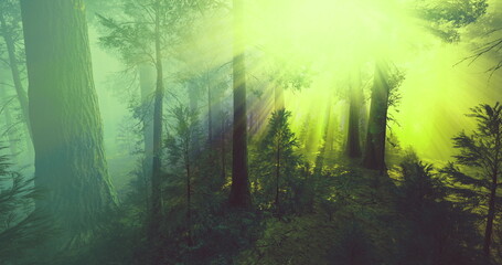 Obraz premium ethereal forest bathed in green light shafts of mist and dense canopy creating surreal mood perfect for fantasy editorial or nature photographer seeking