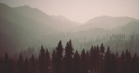 Obraz premium Misty mountain layers with dense firs, soft grainy film texture revealing multiple ridgelines fading into pale haze, calm atmosphere evoking solitude,