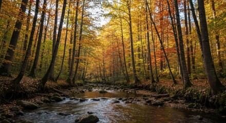 Obraz premium Forest scene with a winding stream flowing through the colorful foliage of autumn
