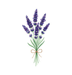 Fototapeta premium Watercolor painting of a beautiful bunch of purple lavender flowers tied with rustic twine bow