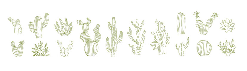 Floral set of isolated outline green vector tropic cactus and succulents elements. Cute botanical hand drawn doodle cacti illustrations for pattern design, logo, coloring book, sticker, tattoo © Tatahnka