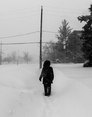 Obraz premium Toronto Winter Storm January 2026 - Black and white pedestrian in deep snow under power lines