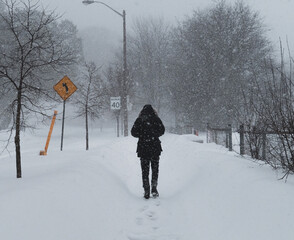 Obraz premium Toronto Winter Storm January 2026 - Pedestrian walking past road signs in heavy snowfall