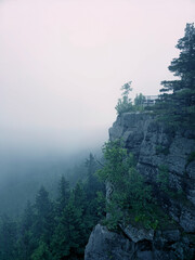 Naklejka premium Foggy scene, Mountain covered with a coniferous fir tree forest. Scenic landscape from. Rocks, forest, fog, valley. National park. Foggy summer morning in the rocks.