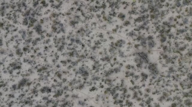 Road in the desert mountains with cactus and sand.