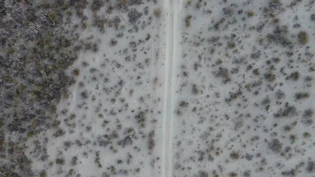 Road in the desert mountains with cactus and sand.