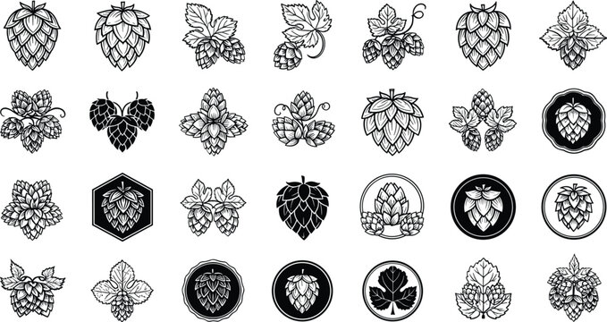 Collection of black and white hop illustrations for beer branding