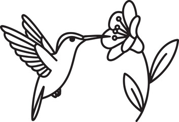 Obraz premium Black outline hummingbird feeding from a stylized flower on a white background nectar