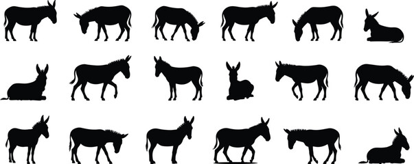 Donkeys silhouette collection, various looks, donkey animal Silhouettes for design and print applications, vector illustration. © Madusanka
