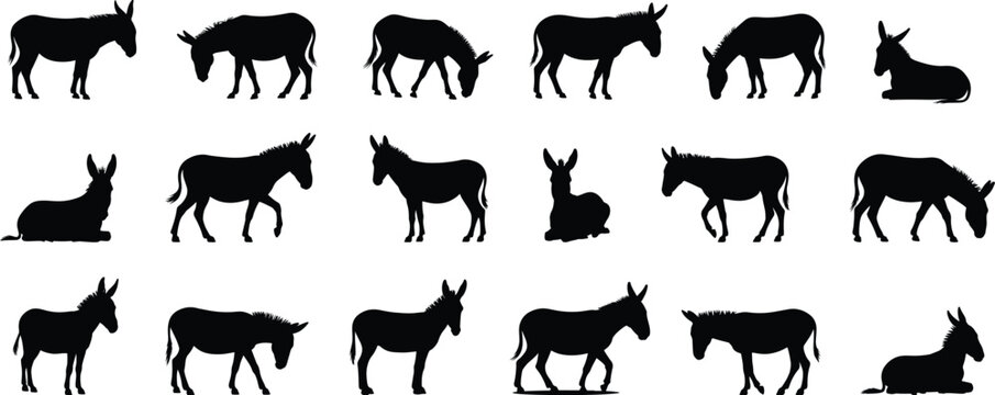 Donkeys silhouette collection, various looks, donkey animal Silhouettes for design and print applications, vector illustration.