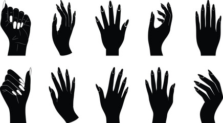 Obraz premium Hand with elegantly long, almond-shaped nails silhouette collection, different shapes, for branding or promotional vector illustration.