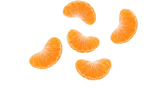 Four peeled, fresh tangerine or mandarin orange segments falling down. Isolated on transparent background, png
