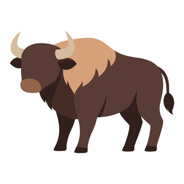 Standing bison animal flat vector illustration